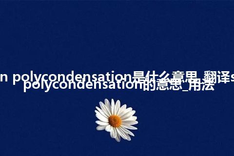 solution polycondensation是什么意思_翻译solution polycondensation的意思_用法