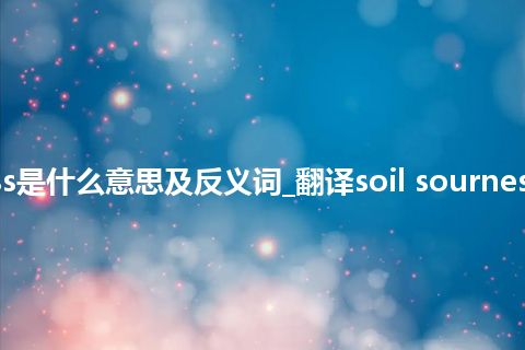 soil sourness是什么意思及反义词_翻译soil sourness的意思_用法