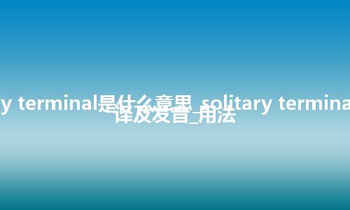 solitary terminal是什么意思_solitary terminal怎么翻译及发音_用法