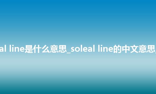 soleal line是什么意思_soleal line的中文意思_用法