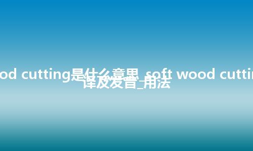 soft wood cutting是什么意思_soft wood cutting怎么翻译及发音_用法