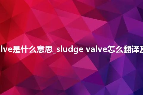 sludge valve是什么意思_sludge valve怎么翻译及发音_用法