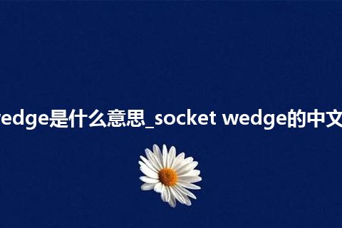 socket wedge是什么意思_socket wedge的中文解释_用法