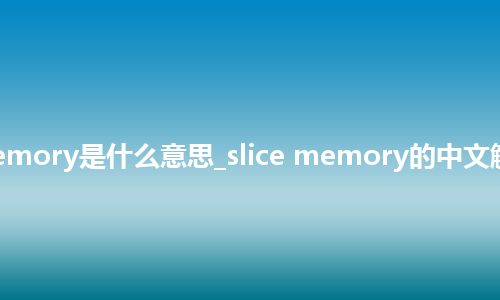 slice memory是什么意思_slice memory的中文解释_用法