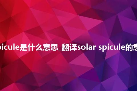 solar spicule是什么意思_翻译solar spicule的意思_用法