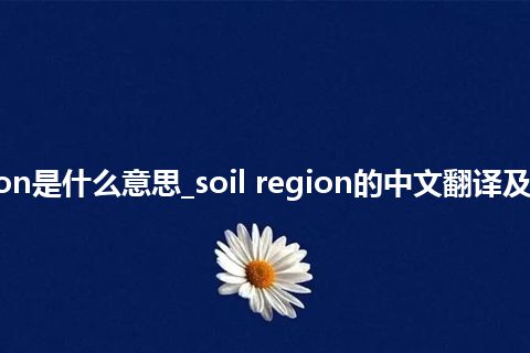 soil region是什么意思_soil region的中文翻译及用法_用法