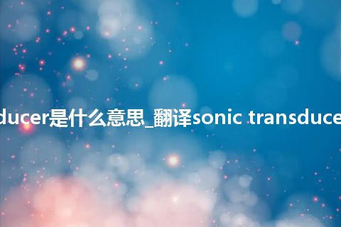 sonic transducer是什么意思_翻译sonic transducer的意思_用法