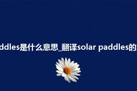solar paddles是什么意思_翻译solar paddles的意思_用法