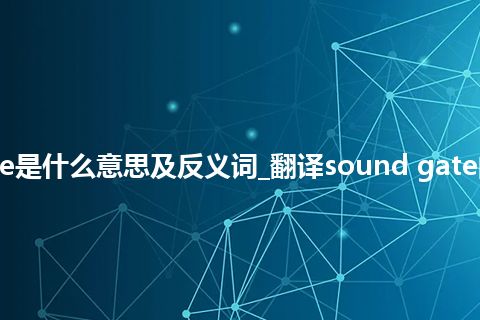 sound gate是什么意思及反义词_翻译sound gate的意思_用法