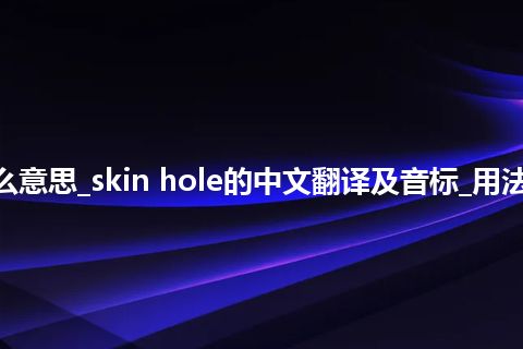 skin hole是什么意思_skin hole的中文翻译及音标_用法_例句_英语短语