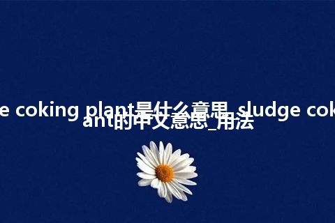 sludge coking plant是什么意思_sludge coking plant的中文意思_用法