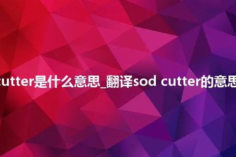 sod cutter是什么意思_翻译sod cutter的意思_用法
