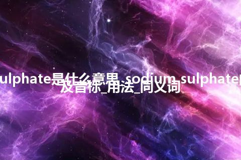 sodium sulphate是什么意思_sodium sulphate的中文翻译及音标_用法_同义词