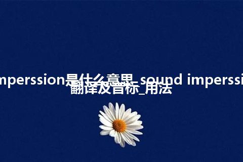 sound imperssion是什么意思_sound imperssion的中文翻译及音标_用法