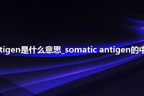 somatic antigen是什么意思_somatic antigen的中文释义_用法