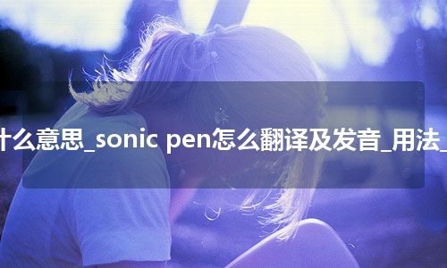 sonic pen是什么意思_sonic pen怎么翻译及发音_用法_例句_英语短语