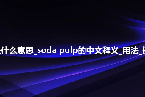 soda pulp是什么意思_soda pulp的中文释义_用法_例句_英语短语
