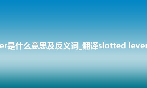 slotted lever是什么意思及反义词_翻译slotted lever的意思_用法