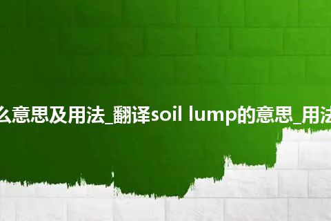soil lump是什么意思及用法_翻译soil lump的意思_用法_例句_英语短语