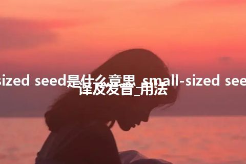 small-sized seed是什么意思_small-sized seed怎么翻译及发音_用法