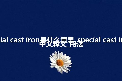 special cast iron是什么意思_special cast iron的中文释义_用法