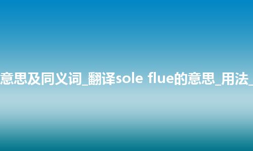 sole flue什么意思及同义词_翻译sole flue的意思_用法_例句_英语短语