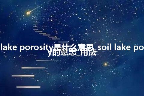 soil lake porosity是什么意思_soil lake porosity的意思_用法