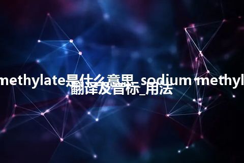 sodium methylate是什么意思_sodium methylate的中文翻译及音标_用法