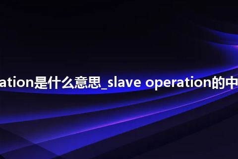 slave operation是什么意思_slave operation的中文意思_用法
