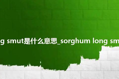 sorghum long smut是什么意思_sorghum long smut的意思_用法