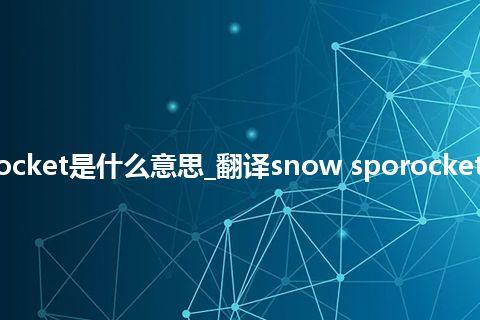 snow sporocket是什么意思_翻译snow sporocket的意思_用法