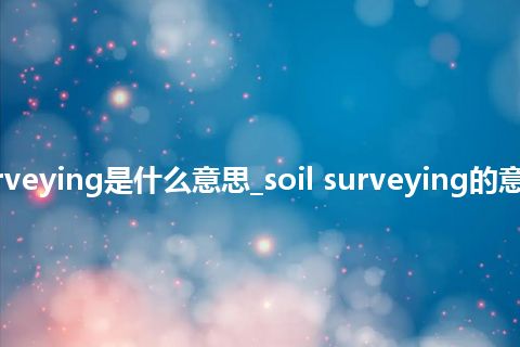 soil surveying是什么意思_soil surveying的意思_用法