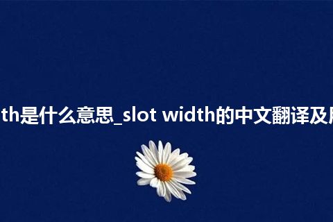 slot width是什么意思_slot width的中文翻译及用法_用法