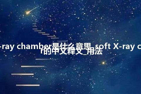 soft X-ray chamber是什么意思_soft X-ray chamber的中文释义_用法