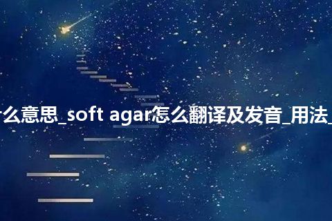 soft agar是什么意思_soft agar怎么翻译及发音_用法_例句_英语短语
