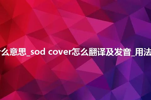 sod cover是什么意思_sod cover怎么翻译及发音_用法_例句_英语短语