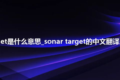 sonar target是什么意思_sonar target的中文翻译及用法_用法