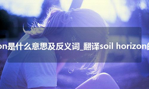 soil horizon是什么意思及反义词_翻译soil horizon的意思_用法