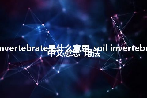 soil invertebrate是什么意思_soil invertebrate的中文意思_用法