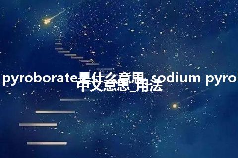 sodium pyroborate是什么意思_sodium pyroborate的中文意思_用法
