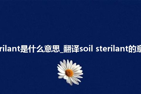 soil sterilant是什么意思_翻译soil sterilant的意思_用法