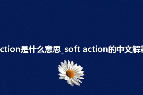 soft action是什么意思_soft action的中文解释_用法