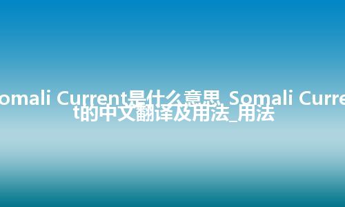 Somali Current是什么意思_Somali Current的中文翻译及用法_用法