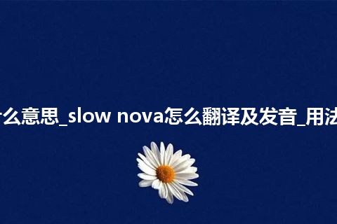 slow nova是什么意思_slow nova怎么翻译及发音_用法_例句_英语短语