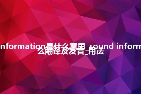 sound information是什么意思_sound information怎么翻译及发音_用法