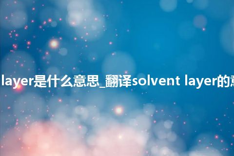 solvent layer是什么意思_翻译solvent layer的意思_用法