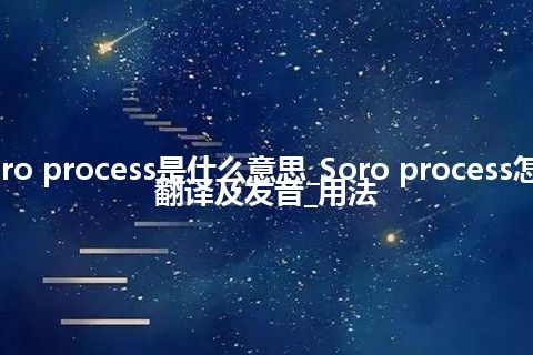 Soro process是什么意思_Soro process怎么翻译及发音_用法