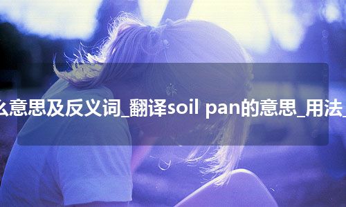 soil pan是什么意思及反义词_翻译soil pan的意思_用法_例句_英语短语