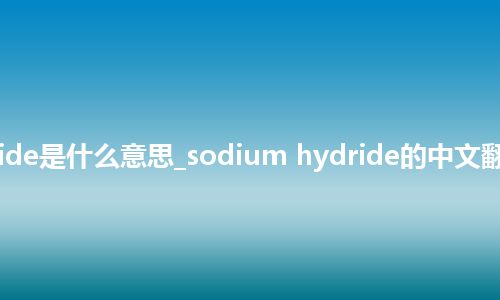 sodium hydride是什么意思_sodium hydride的中文翻译及音标_用法