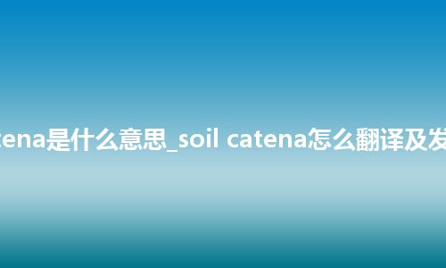 soil catena是什么意思_soil catena怎么翻译及发音_用法